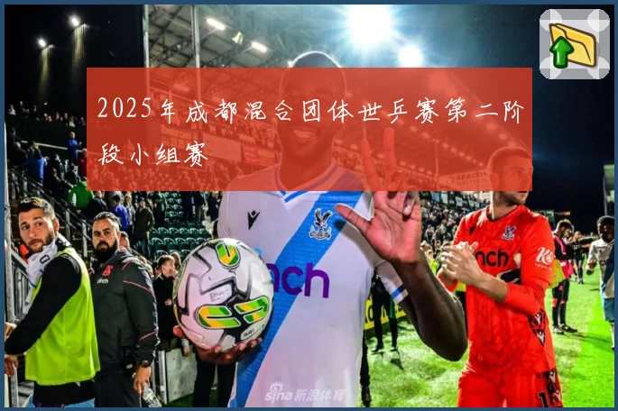 2025年成都混合团体世乒赛第二阶段小组赛